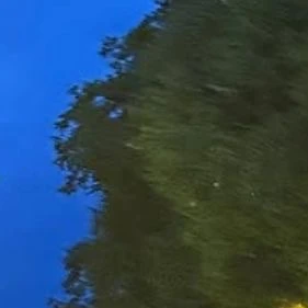 リノ