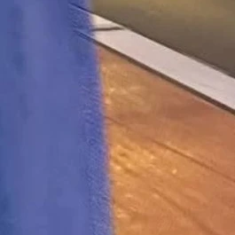 チャニ