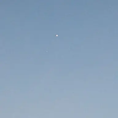 Profile image of 虎杖悠仁