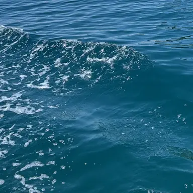 Profile image of 岡本信彦