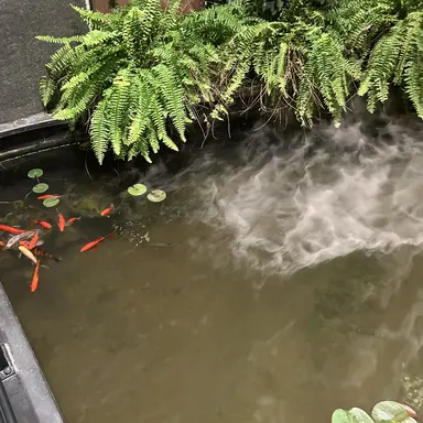 Profile image of 小野賢章