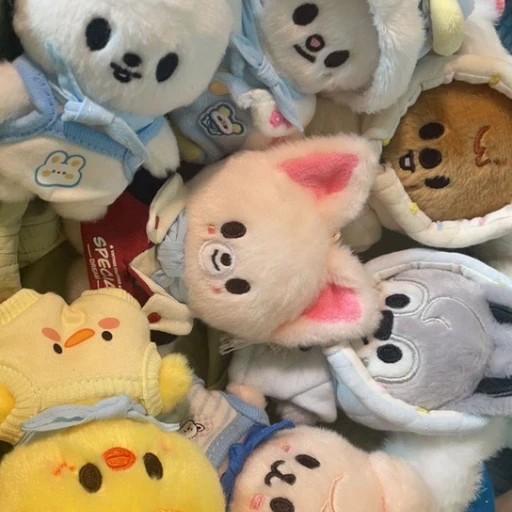 슼즈대학교