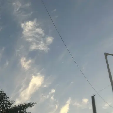 Profile image of 각별
