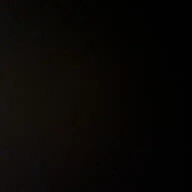 Profile image of 성 호