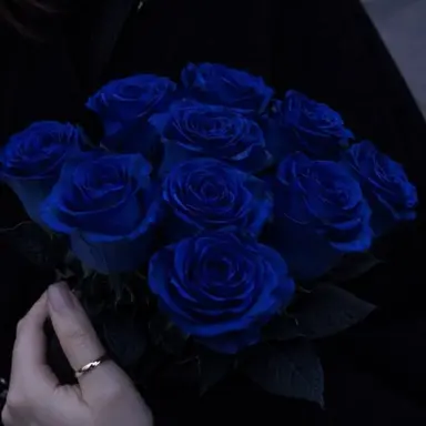Profile image of 파이브