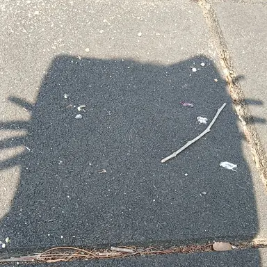 Profile image of 이경민