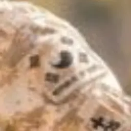 LameDuvet0691의 이동혁