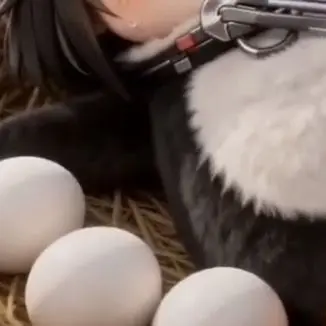 Profile image of ググガガの卵