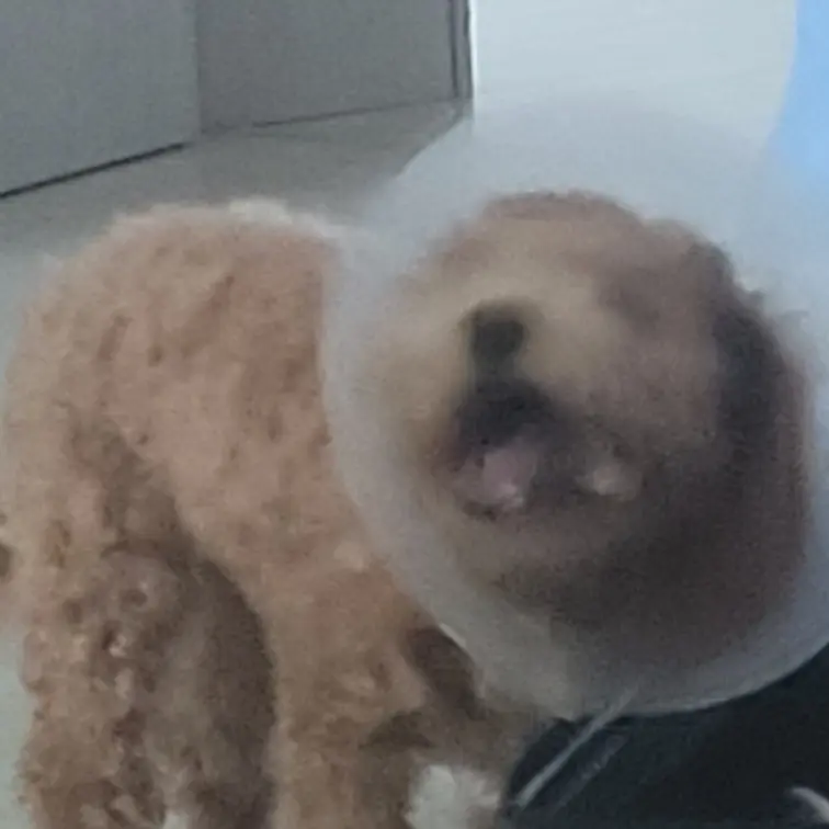 rrrrela의 육아하기