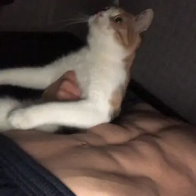 Profile image of Luca