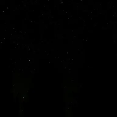 Profile image of 유저