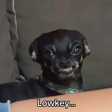 Profile image of Marcus