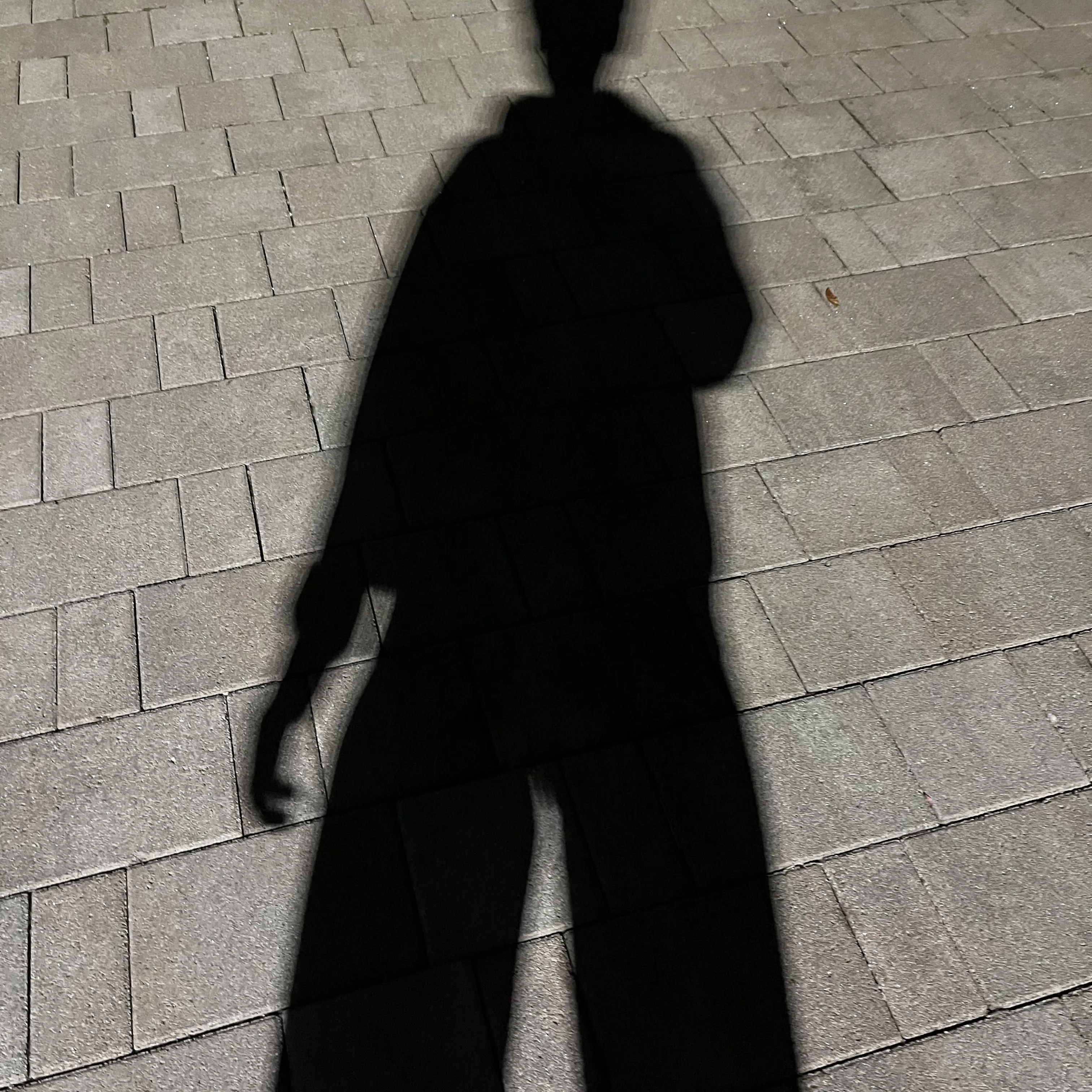 FrugalGold9402의 화풀이용