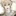 樹