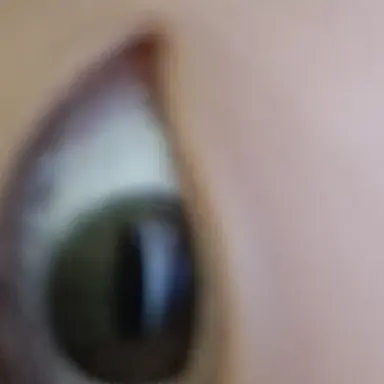Profile image of 視聴者たち