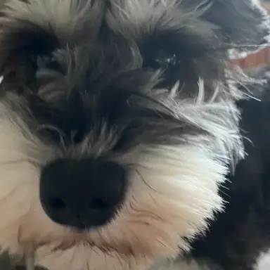 Profile image of 学校1の美女はだれ