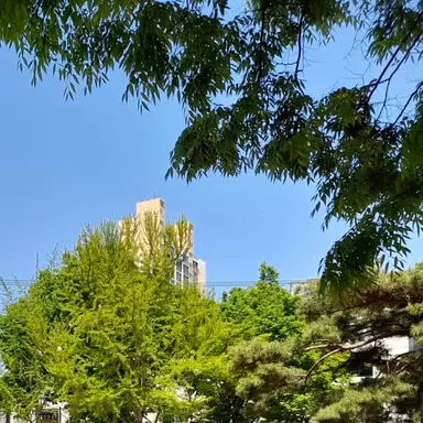 Profile image of 김나연