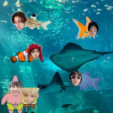 Profile image of 김동현