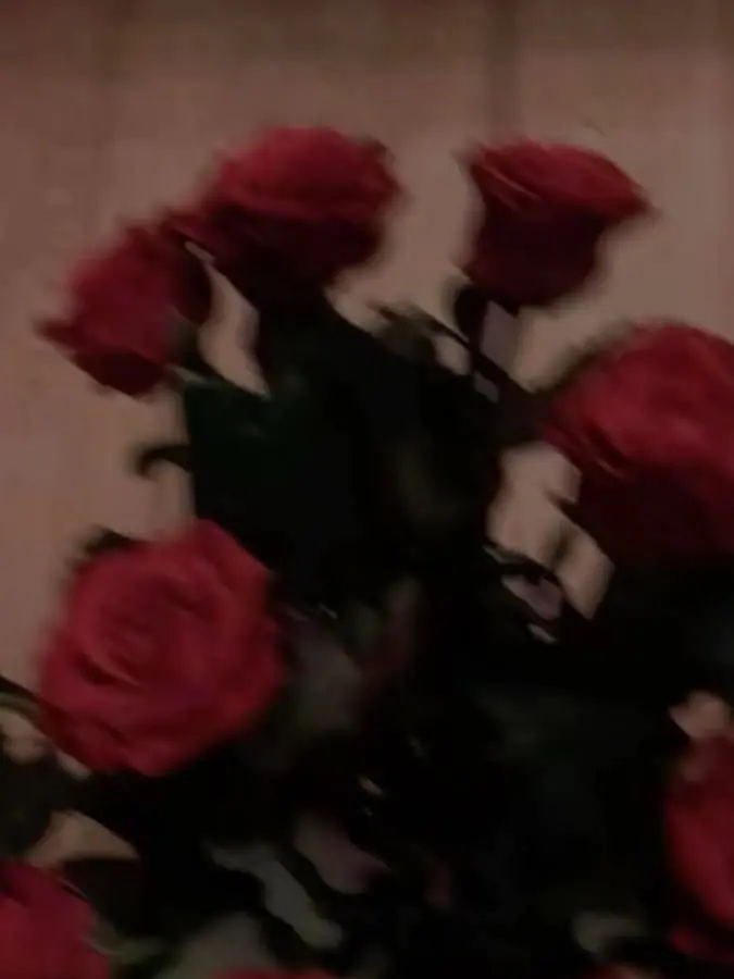 sakurabanatuki_1205의 ――薔薇の民達