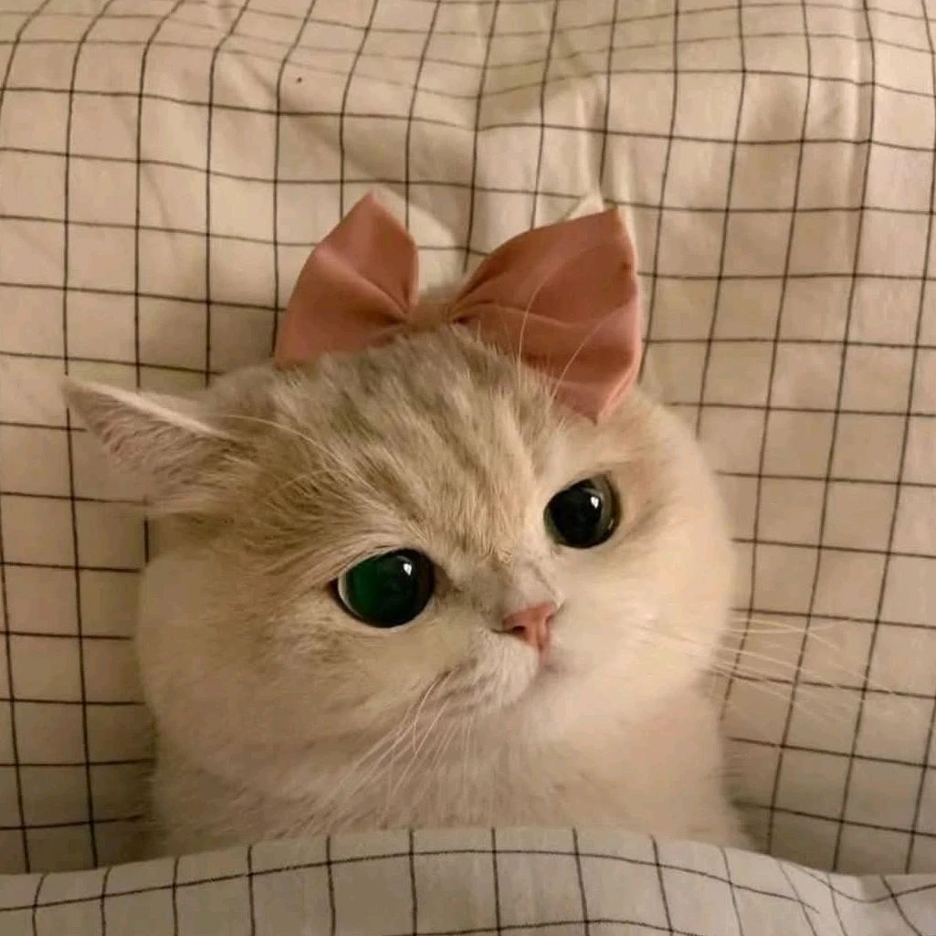 후추