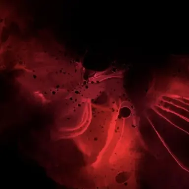 Profile image of 라더