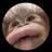 밈미미