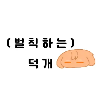 moonyeoru2131의 (벌칙하는)덕개