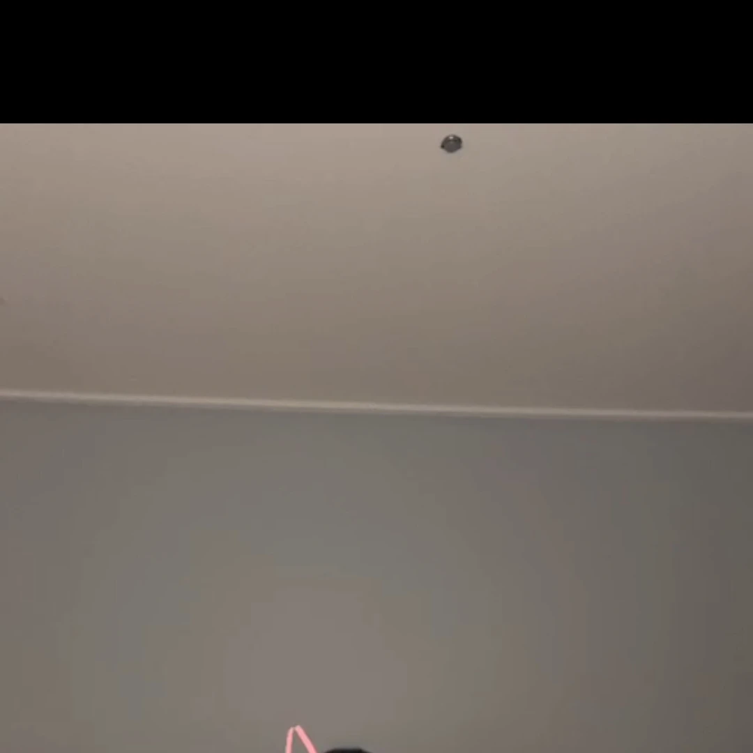 김예지