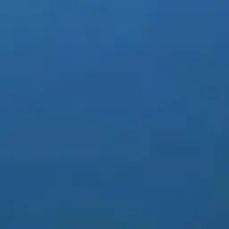 Profile image of 바다
