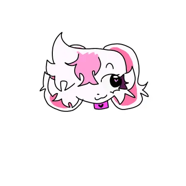 Profile image of 메이