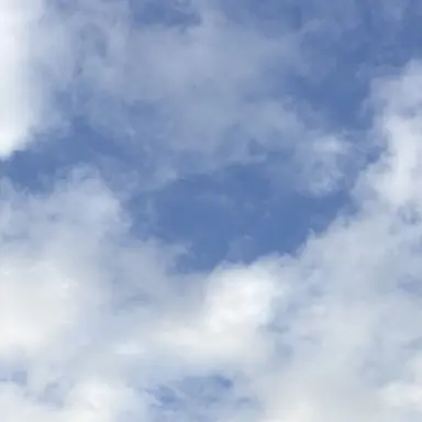 Profile image of 綱 啓斗