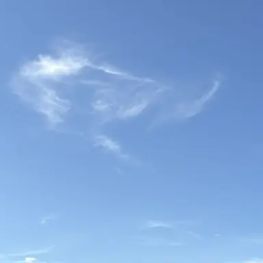 Profile image of 高橋 文哉