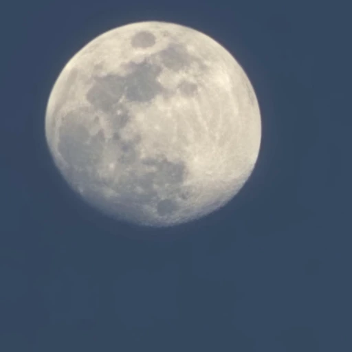 한겨울