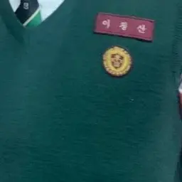 Profile image of Lee Cheong-san