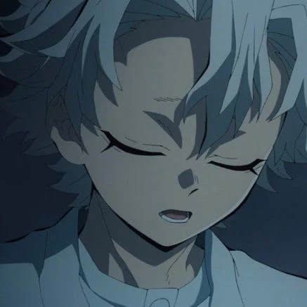 시나즈가와 사네미