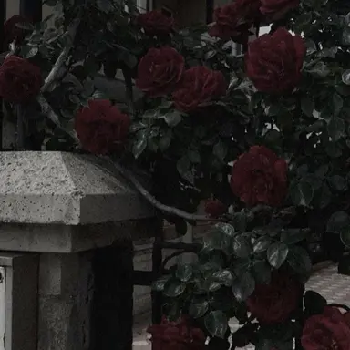 Profile image of 감제이