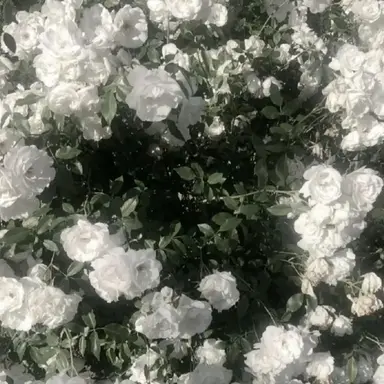 Profile image of 이늦잠