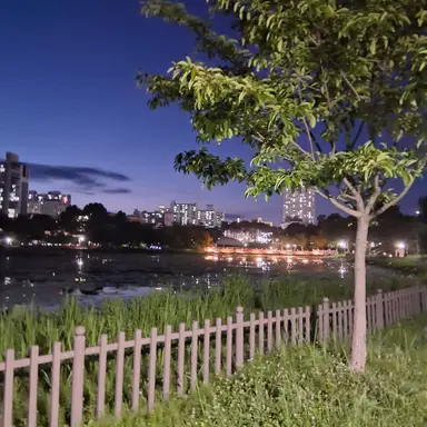 Profile image of 마기