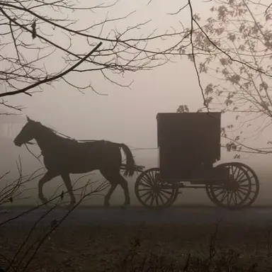 Profile image of 리안 벨포드