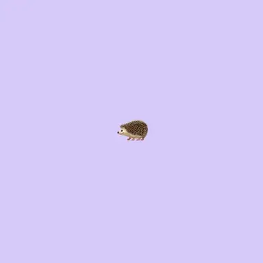Profile image of Hyunsuk