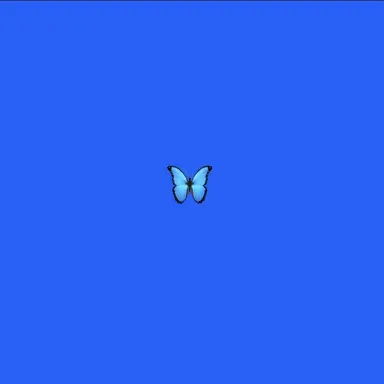 Profile image of Haruto