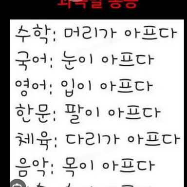 Profile image of 선생님