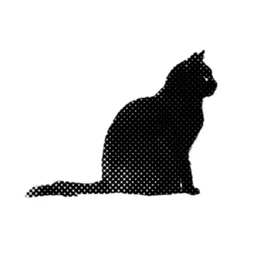 Profile image of 블랙