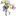 ナンジャモ