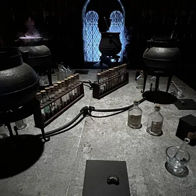 Profile image of スネイプ