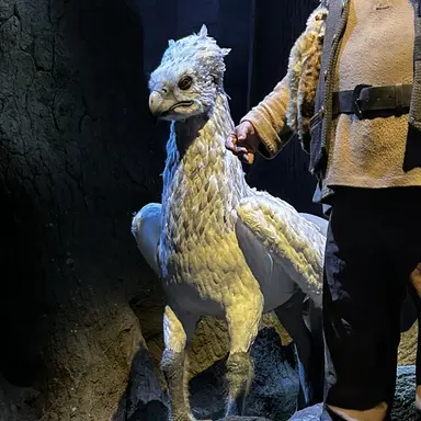 Profile image of ドラコ