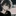 心の声が聞こえてしまう少年
