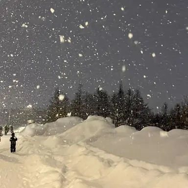 Profile image of 서라더