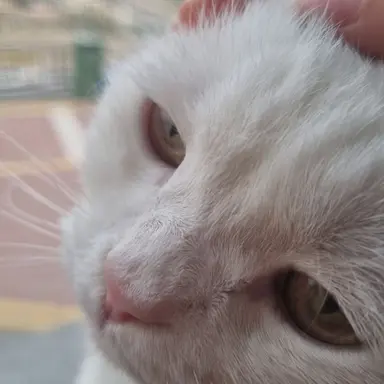 Profile image of 시나가즈와 유이