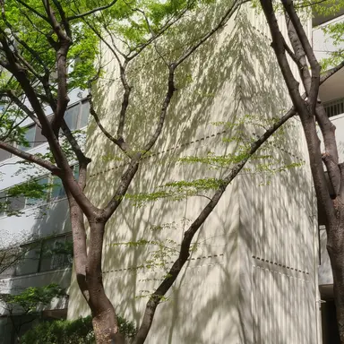 Profile image of 엄마